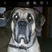 Meiosha McWhorter (@mctwinll1213) Twitter profile photo Meiosha McWhorter (@mctwinll1213) Twitter profile photo