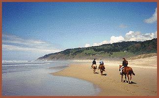 Along the 363 miles of the Oregon Coast, you'll find some things you never expected. Unique, different, unusual, one-of-a-kind.