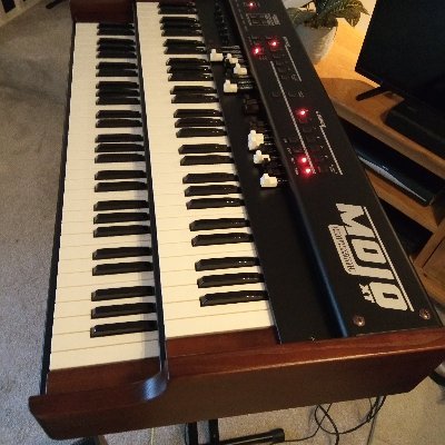Former RAF and airlines and now a professional musician. Writer, Keyboards player, mainly Hammond. 100% Scottish. SNP chaps my ass. Passionate Brexiteer.