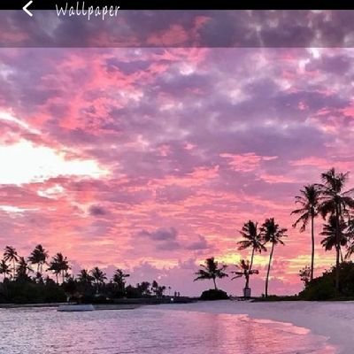 612Ramchandra's profile picture. Engineering 2028, Finding Peace ✌️