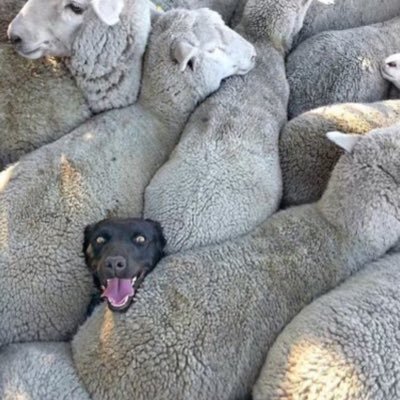 Thomas_P_Lovell's profile picture. Husband I Father I Kidlington Boy I British