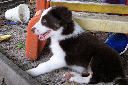 Audy_Audie's profile picture. Happy and enjoying the view