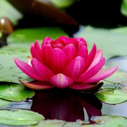 bahutghamandi's profile picture. चमचे कृपया दूरी बनाए रखें
यहां उचित तरीके से पेला जाता है. 😂😂😂😂