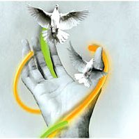 KishanR73832415's profile picture. 