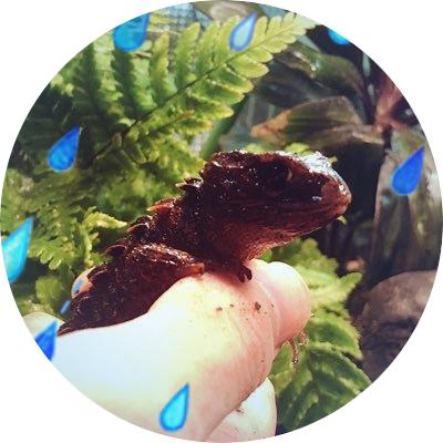 つよしとみくすけ つよしが会社で 爬虫類ってどんな人が飼ってる みたいな話になって タトゥー入っててピアスバチバチあいてるちょっとやばめな人が多いっすよ って言ったせいで いい子ちゃんぶってるからピアスして会社行けない って言ってたの