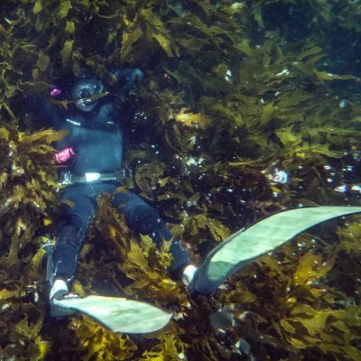 Scientific diver, skipper, marine ecologist sharing habitats & species I work with. Bsc #JCU Hons #UOW, PhD candidate #UON. Lobsters, urchins and more. J DAY