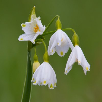 Withymead Nature Reserve