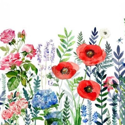 DelphinaVivert's profile picture. 