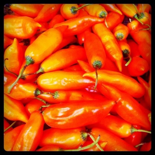 ekzeivier's profile picture. Ingeniero descuadrado, agradecido de la vida.
Si un problema tiene solución, no hace falta preocuparse. Si no tiene solución, preocuparse no sirve de nada.