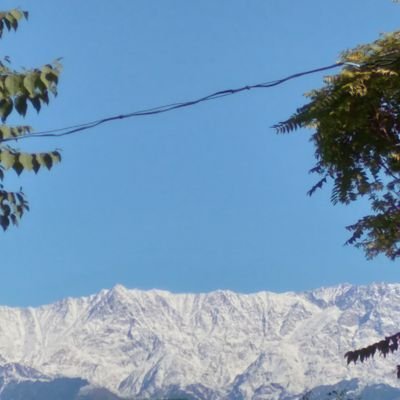 VikrantMankoti4's profile picture. 