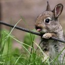 Madison Beaty - @madibeaty - Twitter