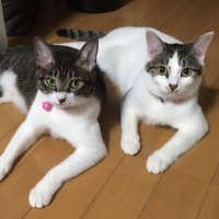 仙人 (@jlwjft7efmasm6n) 's Twitter Profile