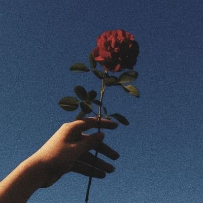 AleXandrA_lolpl's profile picture. 