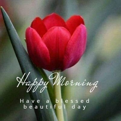 mdshoai84718988's profile picture. water proofing work