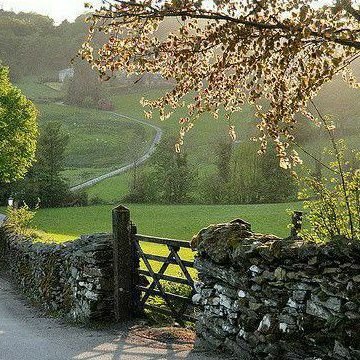 zkovit's profile picture. good looking