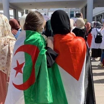 إما نحنُ أونحن🇵🇸.