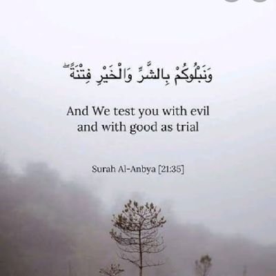 Mohammedi_Mmk's profile picture. Alhumdolilah Muslimah.