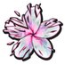 CRASH BLOSSOMS (@crashblossomss) Twitter profile photo CRASH BLOSSOMS (@crashblossomss) Twitter profile photo
