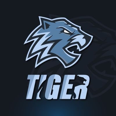 Tiger Proxies Profile