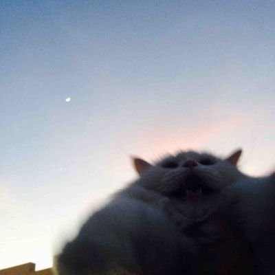 anvardyukarev's profile picture.