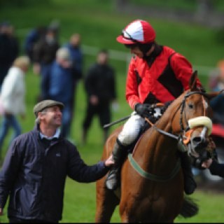 Racehorse trainer based in Derrylin, Co.Fermanagh since 2004.