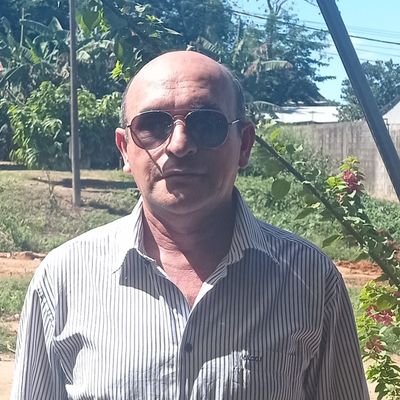 Felipe81301162's profile picture. 