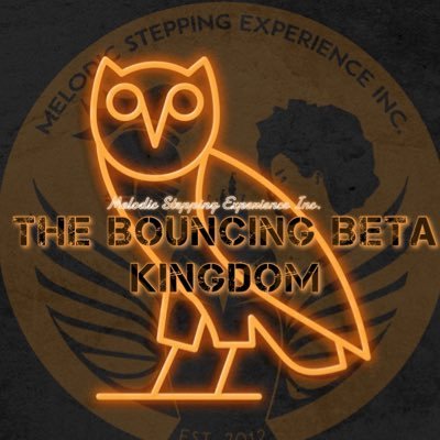 Melodic Stepping Experience, Inc. 🦉🛡🏰✴️ 📍Daytona Beach, FL (BCU) “We Just Wanna Step!!” #MSEInc #ItsKoming #KnightsofNemesis #LadiesofMirage