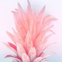 KandyKayne (@cwrujd) 's Twitter Profile