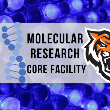The MRCF provides scientists with the resources necessary for successful and productive research pursuits in the field of molecular research.