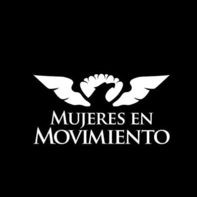Nuestra misión es impulsar y defender la participación política de las Mujeres de Nuevo León 🦁