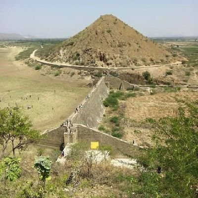 Pryadav7's profile picture. 