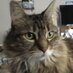 Sunshine61 🇺🇸 🦅 (@sueesmons) Twitter profile photo Sunshine61 🇺🇸 🦅 (@sueesmons) Twitter profile photo