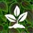 PlantAnimal_LR avatar