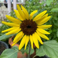 fern2332.f (@ffern2332) 's Twitter Profile