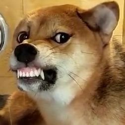 CSfpOkglnLbFH0Q's profile picture. 腿毛特长