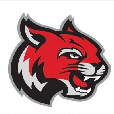 Superior Volleyball Profile