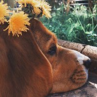 Citrouille 🥕🖖🥕 (@citroui62604078) 's Twitter Profile Photo Citrouille 🥕🖖🥕 (@citroui62604078) 's Twitter Profile Photo