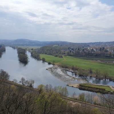 BelastianBackup's profile picture. Unge 💚  ZYZZ🔱
Gaming