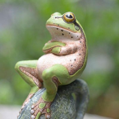 jaykuson's profile picture. Gaming Frog