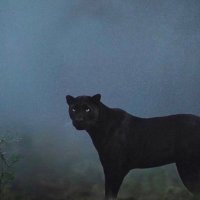 nitin baid (@nitinbaid2) 's Twitter Profile