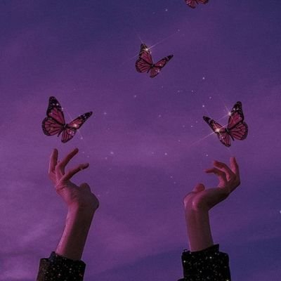 Josh/Venus 🍁さんのプロフィール画像