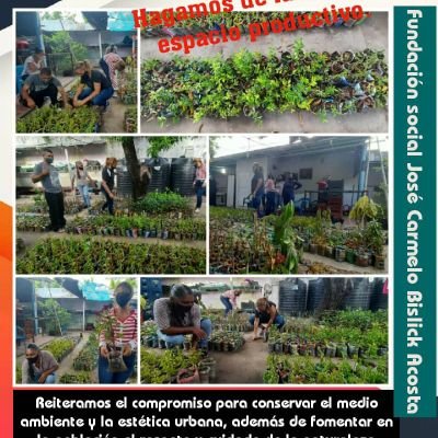 Docente de corazón