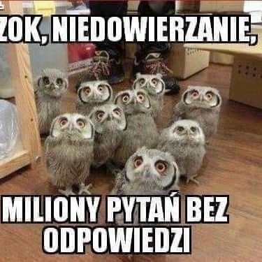 Czerwono-biało-czerwone serce. A w kuchni żurek pany.