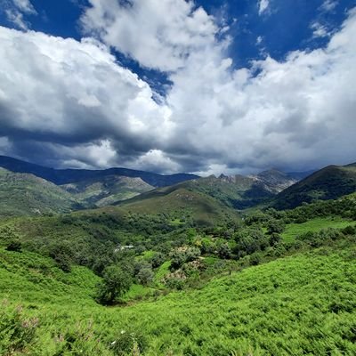 vure29's profile picture. 