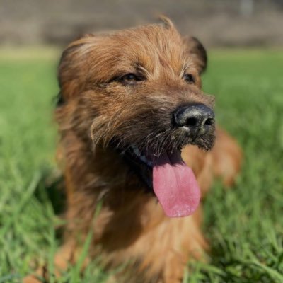 tanatopamplona's profile picture. Tanatopractor