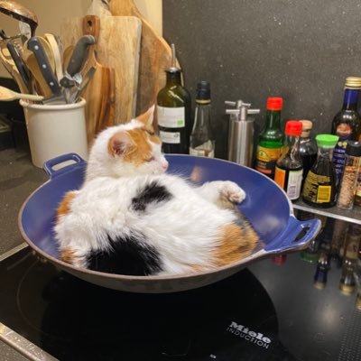 JHitstheroad's profile picture. “Het ideale subject van totalitaire heerschappij is niet de fanatiekeling, maar degene die het onderscheid tussen feit en fictie heeft opgegeven.” Hannah Arendt