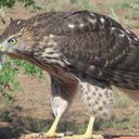 Stephen Lee - @StephenLeeUSA - Twitter