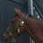 bernardsee's profile image