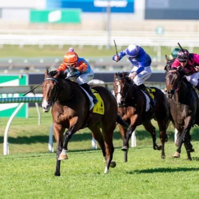 Selling shares in quality racehorses trained by Rob Heathcote at Eagle Farm and Paul Jenkins at the Sunshine Coast