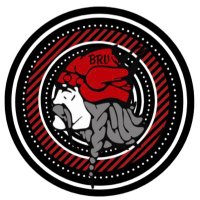 Lady Viking Basketball (@ladyvikingbask1) 's Twitter Profile